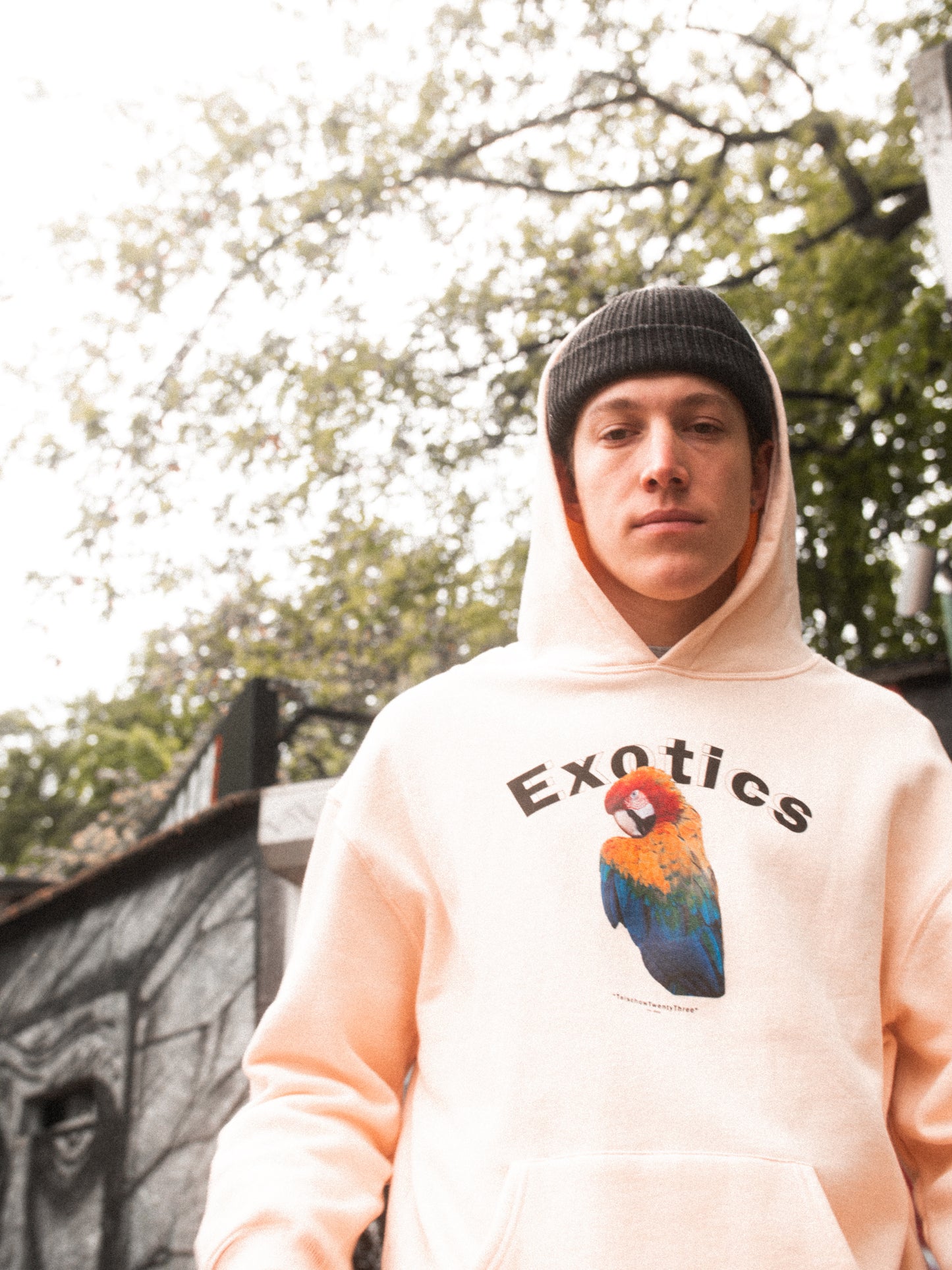 exotics hoodie vanilla cream